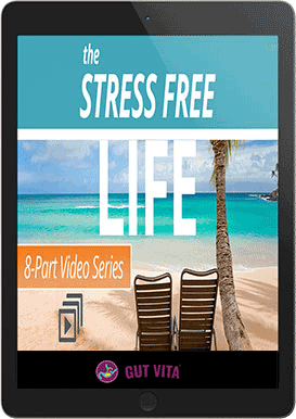 Gutvita bonus 2 Stress free life